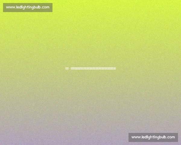 泰勒 - 亚当斯：理解普利希奇的选择，专注自我状态助力美国队冲击世界杯